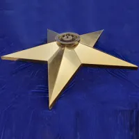 Звезда вечный огонь (1628) поставка комплект горелка ГВД 379 10 89 00 ПС ø 1100 мм. пустотелая  в Великом Устюге