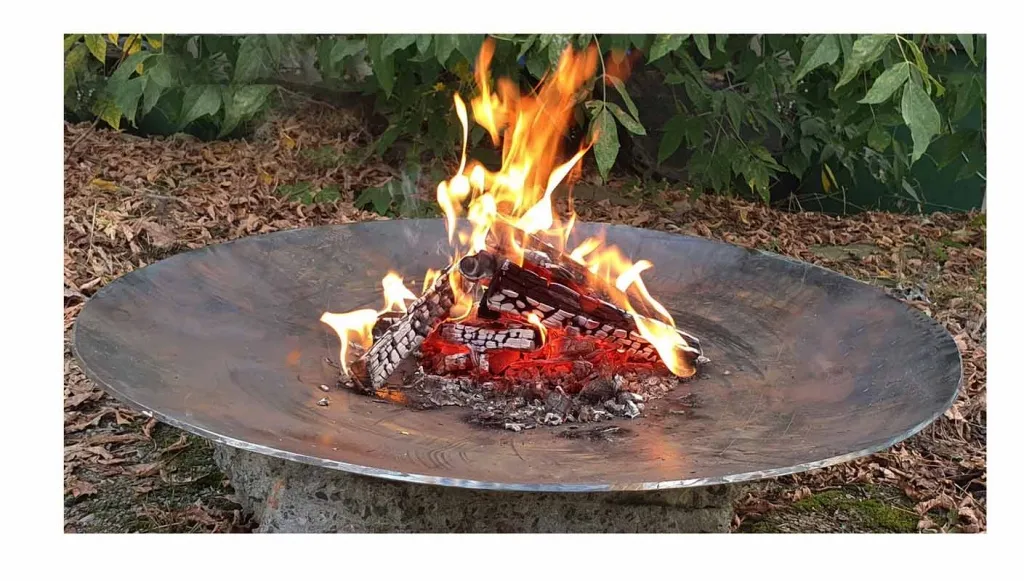 Кованная чаша для костра - авторский дизайн доставка в Великий Устюг